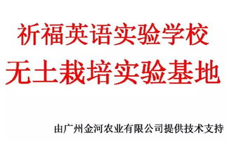 校企攜手，共繪軟件技術教育新篇章